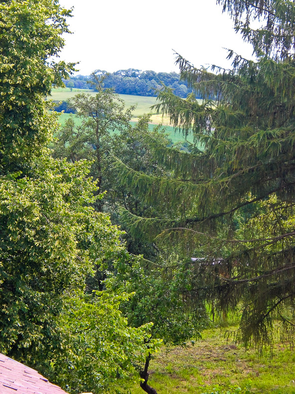 Ausblick